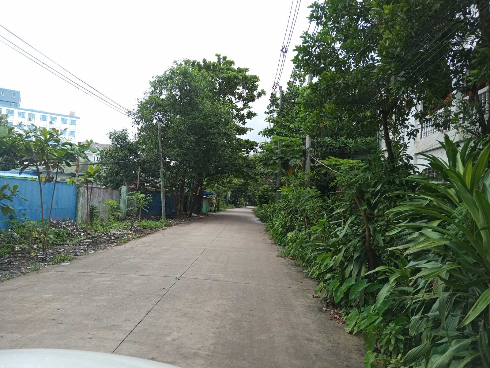 သင်္ဃန်းကျွန်းမြို့နယ်၊ဂိုဒေါင်အငှား