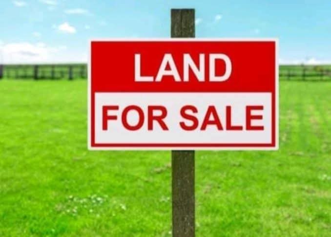 မြောက်ဒဂုံမြို့နယ်၊ မြေကွက်အရောင်း