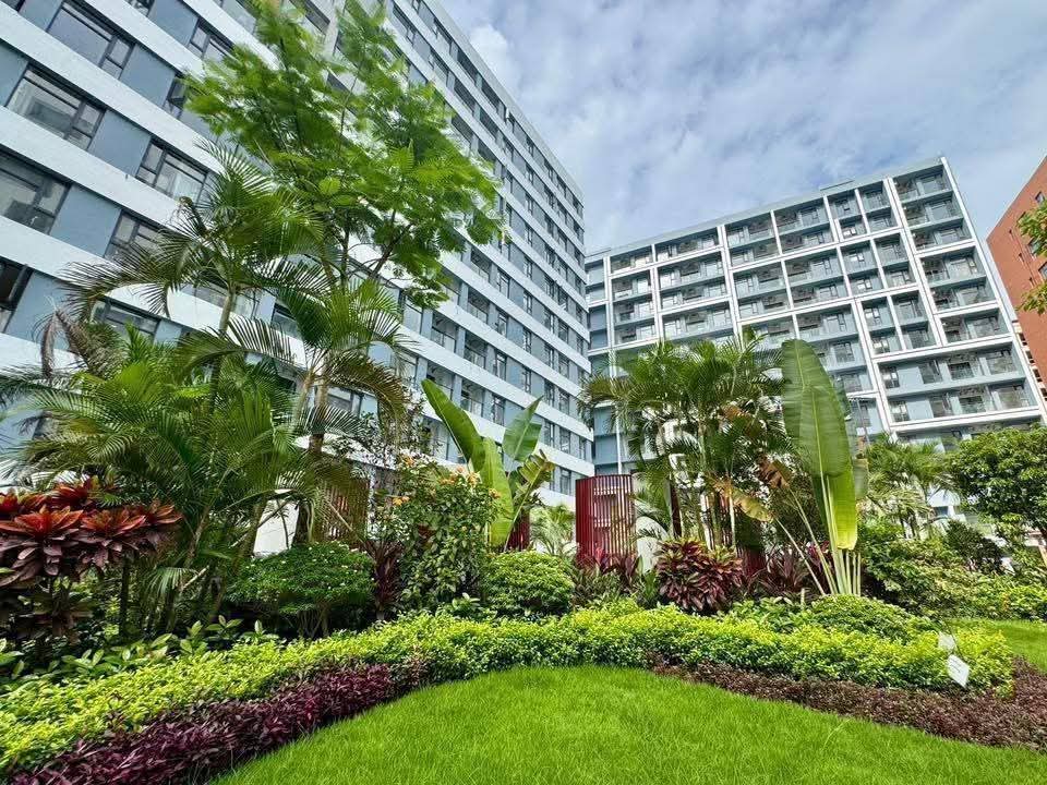 လမ်းမတော်မြို့နယ်၊  Magical Workd ကွန်ဒိုအရောင်း