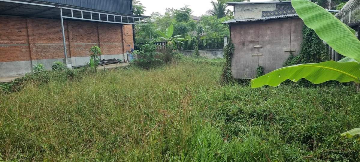 မြောက်ဒဂုံမြို့နယ်၊မြေကွက်အရောင်း