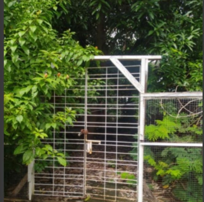 စမ်းချောင်းမြို့နယ်၊ (2BN)အရောင်း