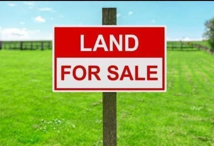 တောင်ဒဂုံမြို့နယ်