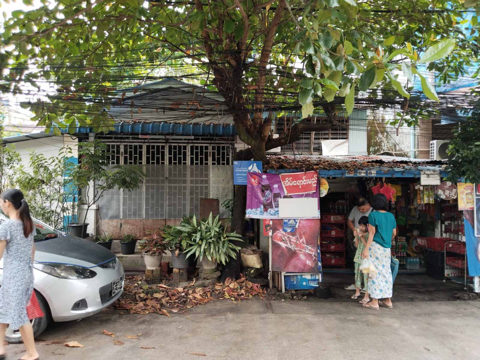 သဃန်းကျွန်း လုံးချင်း အရောင်း