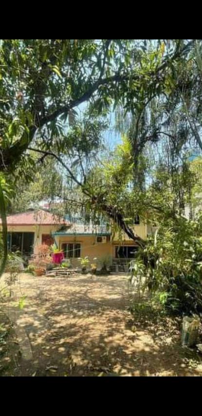 8 miles မရမ်းကုန်းအရောင်း