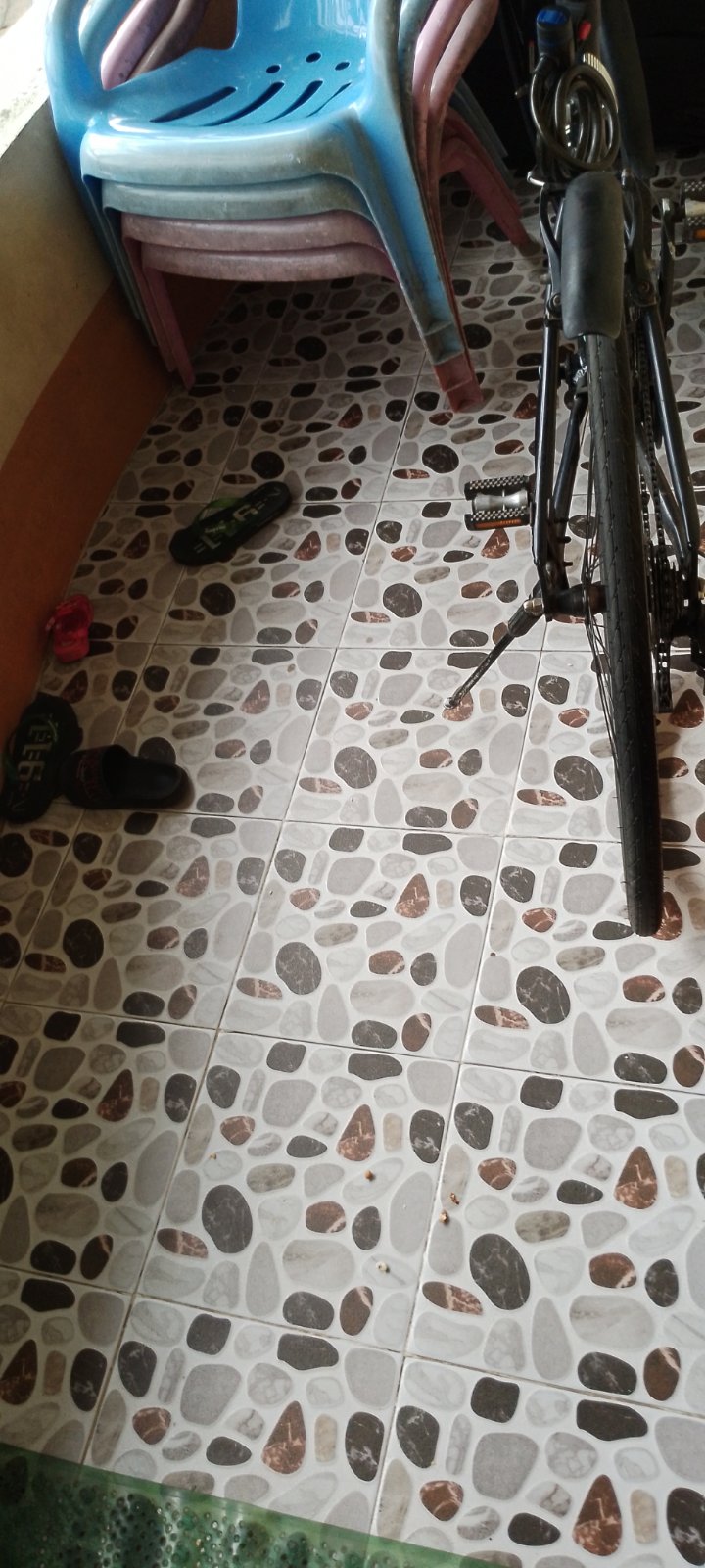 သင်္ဃန်းကျွန်းမြို့နယ် ၊တိုက်ခန်းအရောင်း