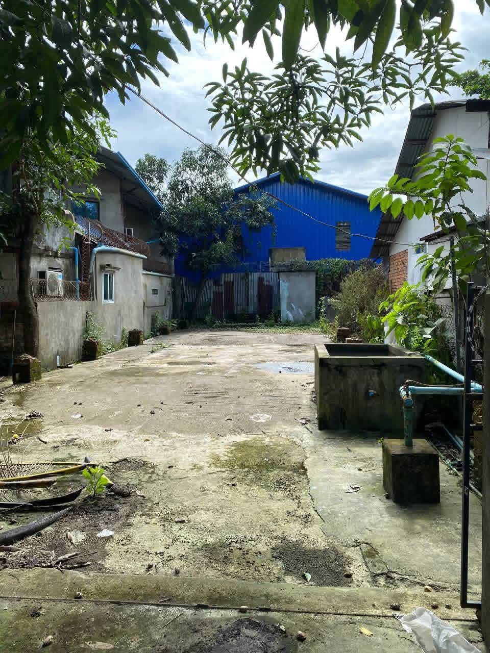 တာမွေမြို့နယ်ရှိမြေကွက်အရောင်း