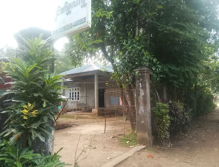 မင်္ဂလာဒုံမြို့နယ်ပုလဲမြို့သစ်လုံးချင်းအရောင်း